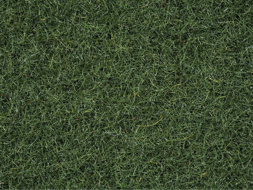 50200 Noch - Streugras Moorboden, 2,5mm - allgemein