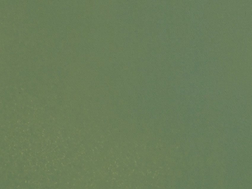 61194 Noch - Acrylfarbe, matt, hellgr�n - allgemein