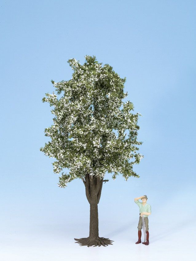 68022 Noch - G/O Obstbaum wei� bl�h., 30cm - allgemein