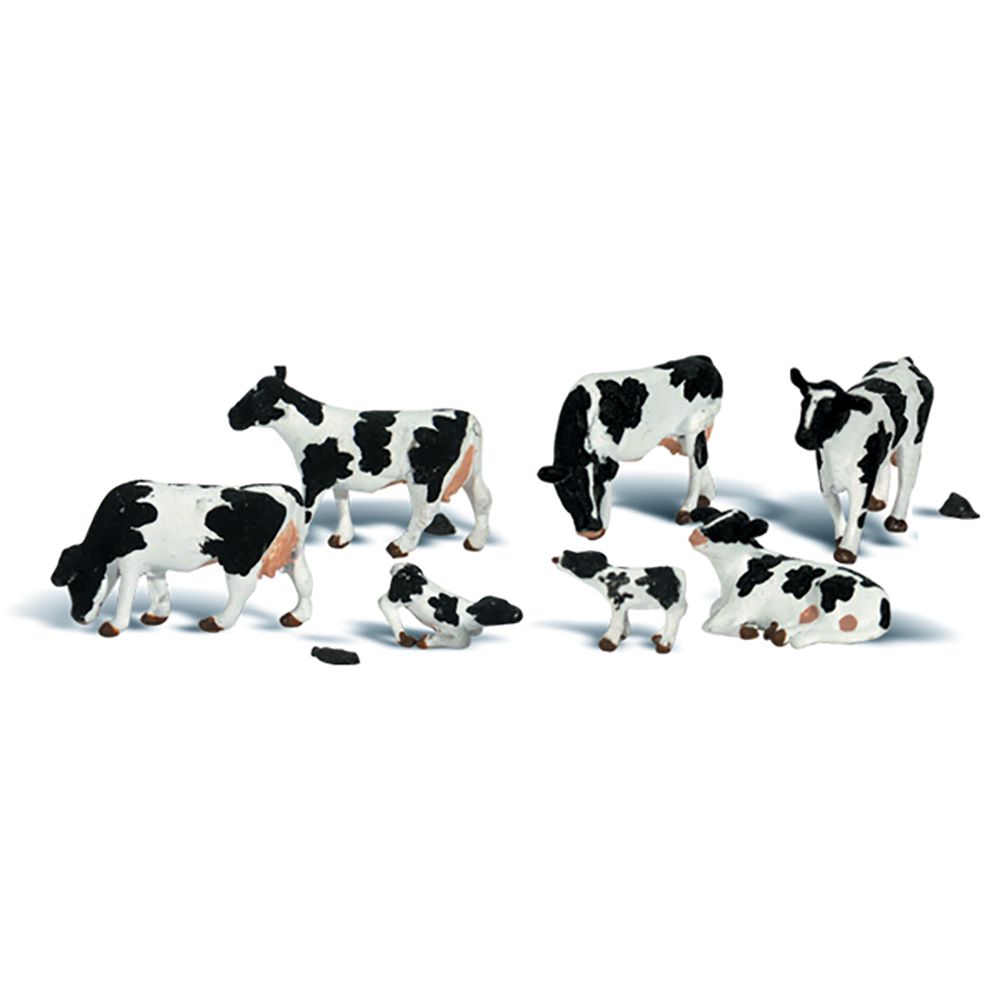 WA2724 Woodland - 0 Holsteink�he - allgemein